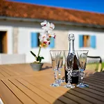 Daire Martin