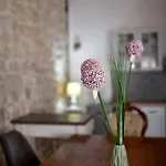 Apartman Martin *